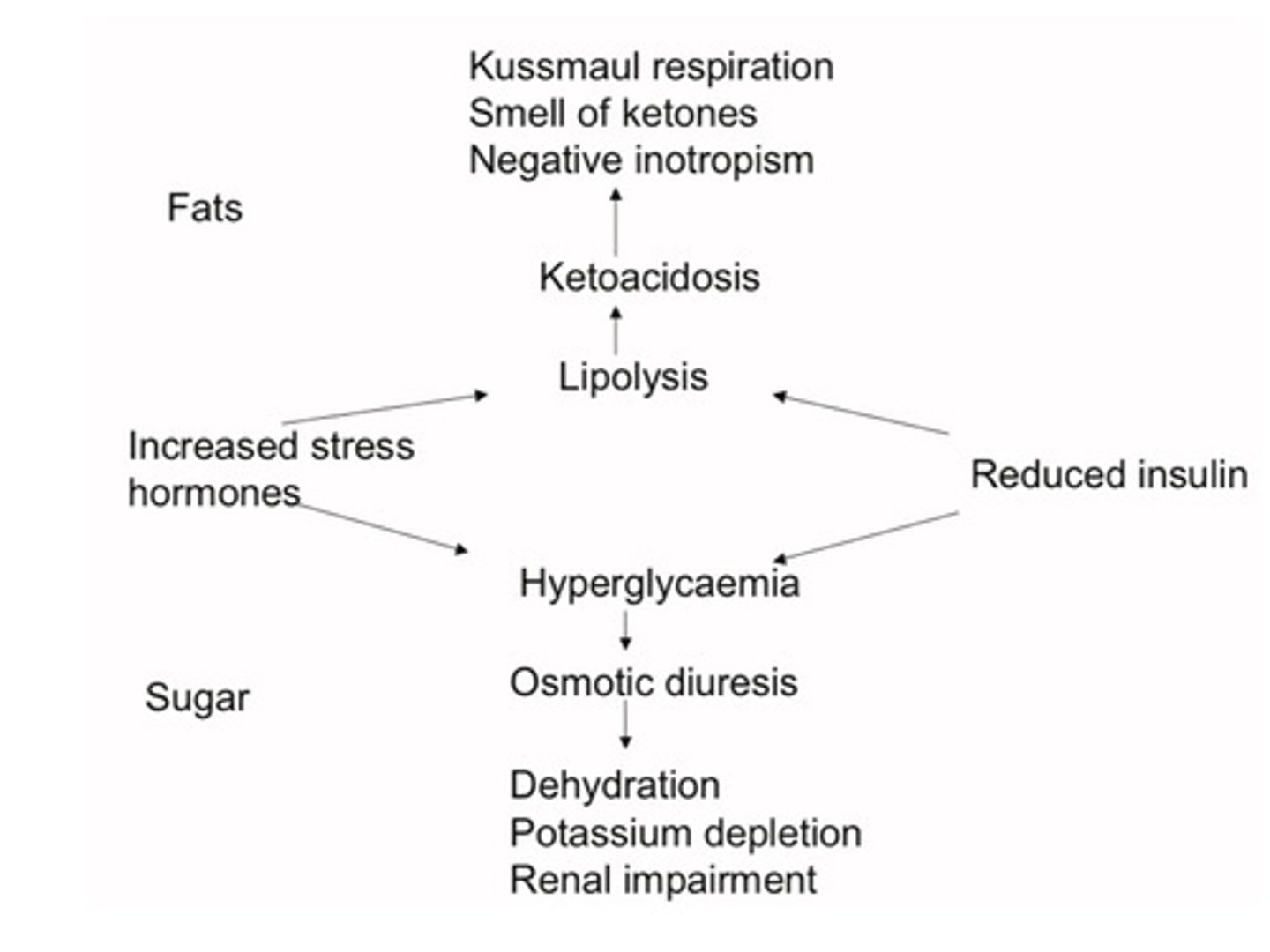 <p>Dehydration (hypokaelamic):</p><p>Tachycardia and hypotension</p><p>Kussmaul respiration-acidosis</p><p>Sweet ketone smell</p><p>Vomit + abdominal pain</p><p>Signs of precipitating cause (eg infection, MI, etc)</p>