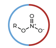 <p>NO3</p>