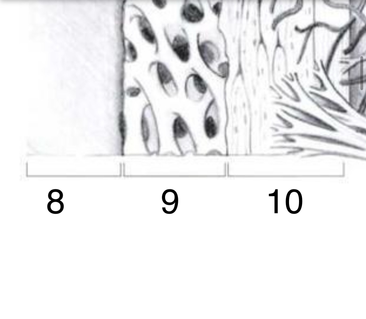<p>Vad är nummer 9?</p>