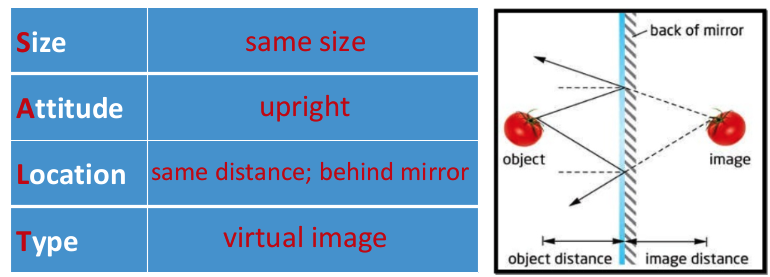 <p>same size, upright, same distance behind mirror, virtual image</p>