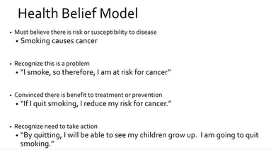 <p>Health belief model </p>