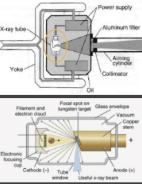 <p>The fundamental concepts of x-ray production in CBCT are the same as PAs:</p><ul><li><p>The beam is filtered and collimated</p></li><li><p>Parameters depend on machine-specific, variably adjustable presets</p></li></ul><p></p>