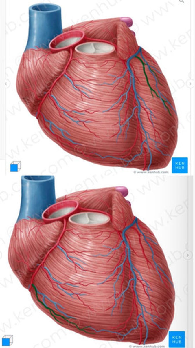 <p>right and left pictured</p>