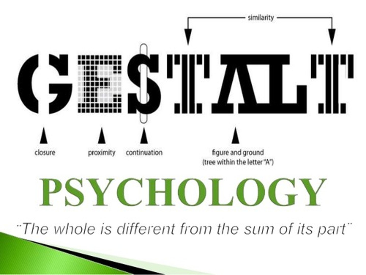 <p>True. Gestalt Psychologists believe that you cannot understand human psychology by breaking it down into its parts. Rather it must be understood as a whole.</p>