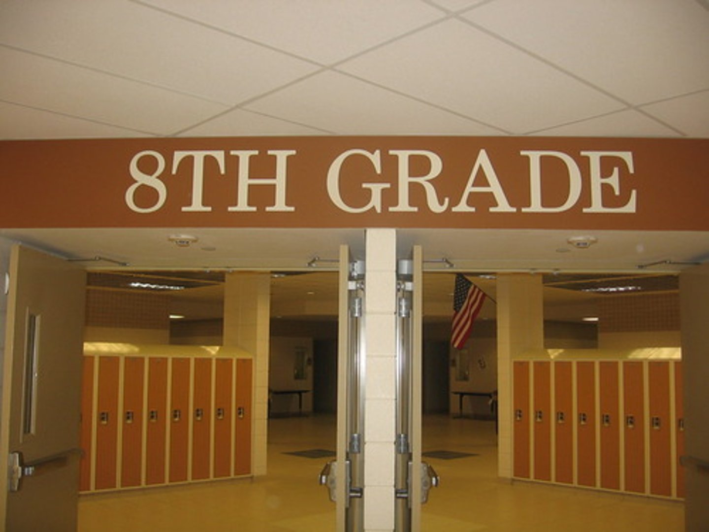 <p>You are in the eighth grade.</p>