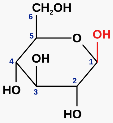 <p>an isomer of glucose</p><p>-OH group is above the carbon ring</p><p>forms polysaccharides e.g. cellulose</p>