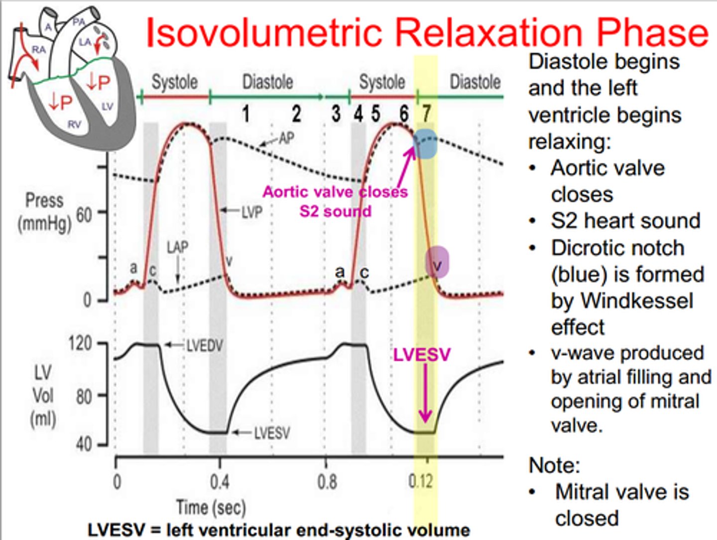 <p>period when all four valves are closed and ventricular blood volume does not change</p>