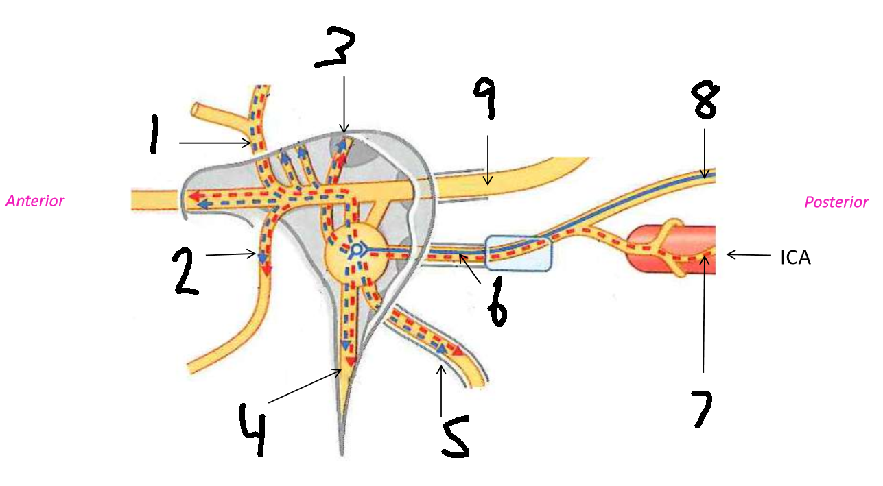 <p>What is 6?</p>