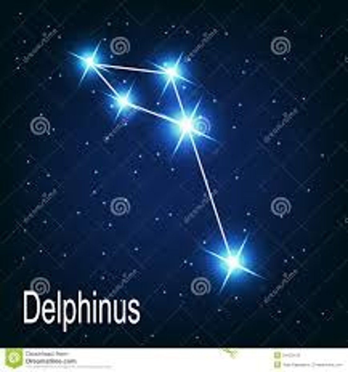 <p>porpoise / brightest star: Rotanev or Beta Delphini (β Del)</p>