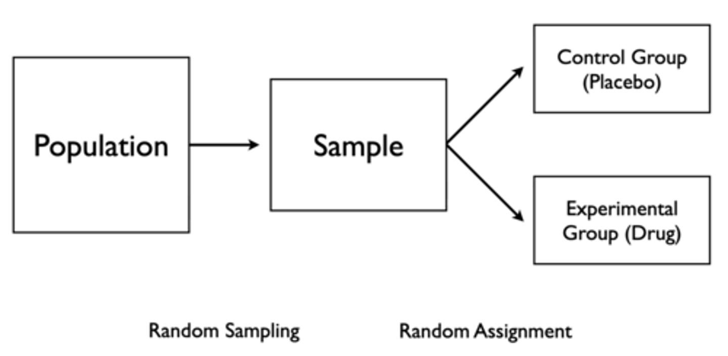 <p>Random sampling, then random assignment to control group (placebo) and experimental group (drug)</p>