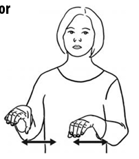 term image