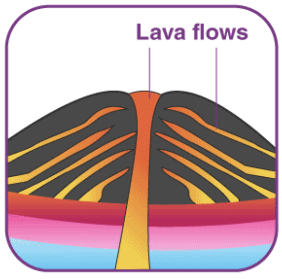 <p><strong>TYPES OF VOLCANO:</strong></p><p>this is shaped as a bowl with <strong>long gentle slopes</strong> made by <strong>basaltic lava flows;</strong></p><p>formed by eruption of <strong>low-viscosity lava</strong> that can flow a great distance from a vent</p><ul><li><p>ex. Mauna Kea (Hawaii)</p></li></ul><p></p>