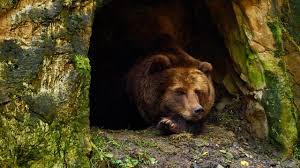 <p><strong>hibernate</strong> </p>