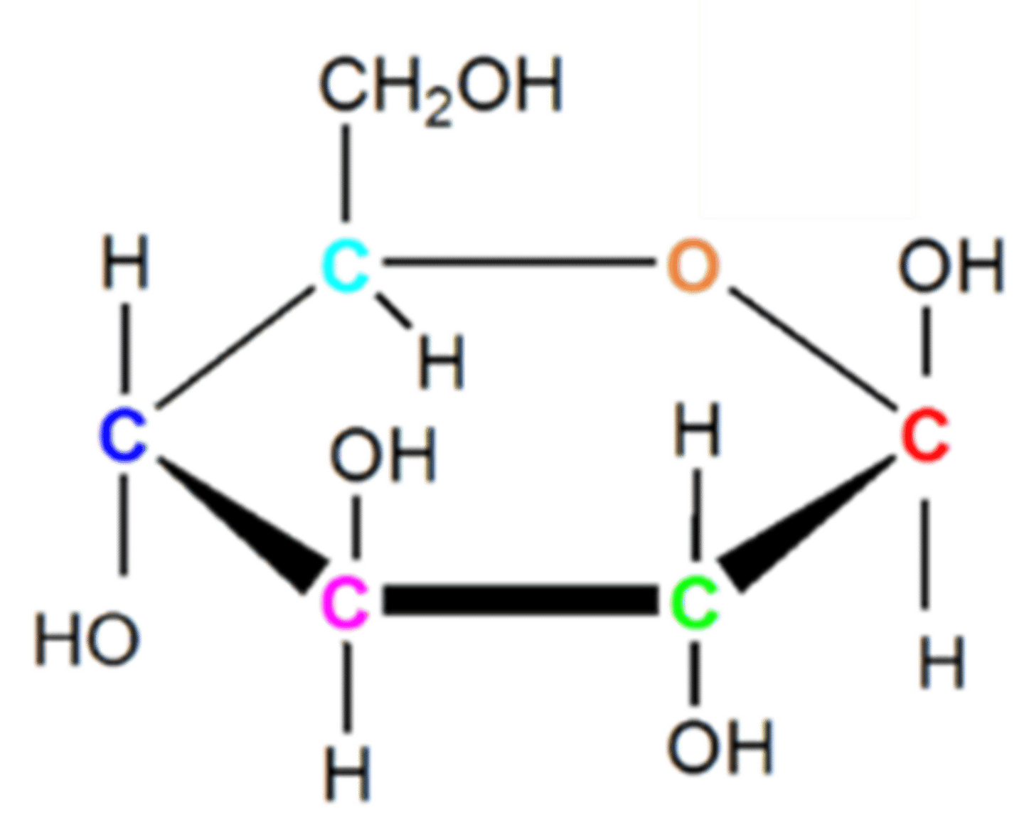 term image