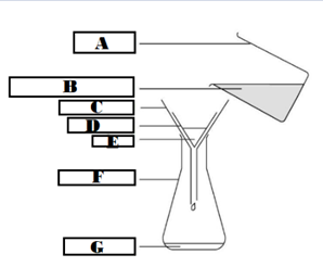 <p>Filtration Experiment</p><p></p>