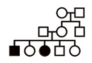 <p>autosomal, recessive:</p>