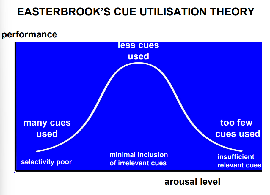 <ul><li><p>Low Arousal:</p><ul><li><p>Attention is broad, but unfocused</p></li></ul></li><li><p>Moderate Arousal (Optimal):</p><ul><li><p>Attention narrows to task-relevant cues</p></li></ul></li><li><p>High Arousal:</p><ul><li><p>Attention becomes too narrow</p><p></p></li></ul></li></ul><p></p>