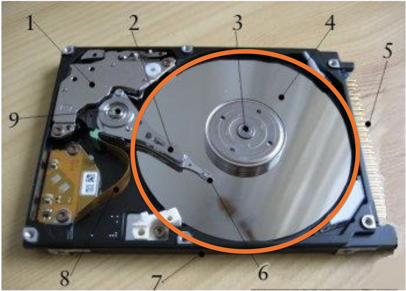 knowt flashcard image