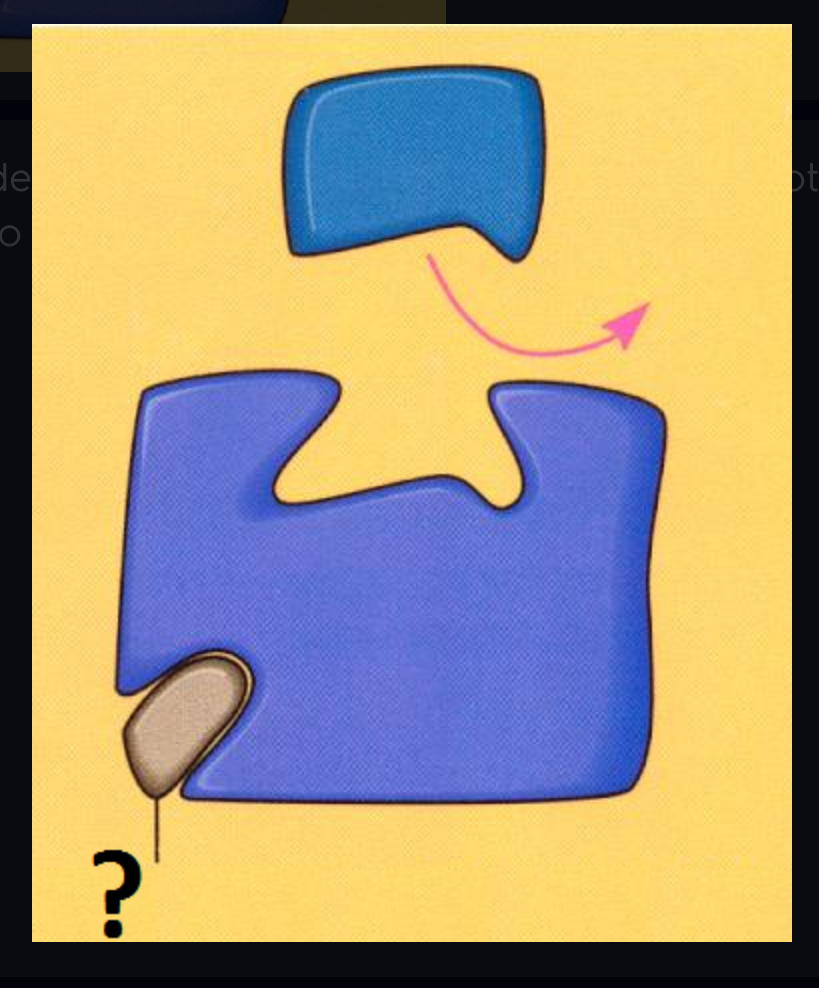 <p>Impede enzymatic reactions by binding to a site other than the active site (usually bind to an allosteric site)</p>