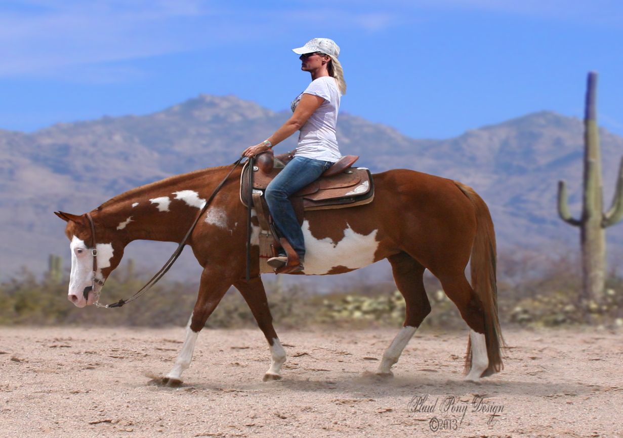 <p>Is this a Western or an English Tack?</p>