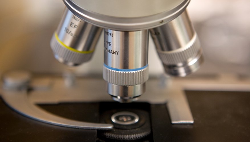 <p>can have a magnifying power ranging from 4x to 100x. 4 – 5 lenses are used on microscopes depending on the required magnifying power.</p>