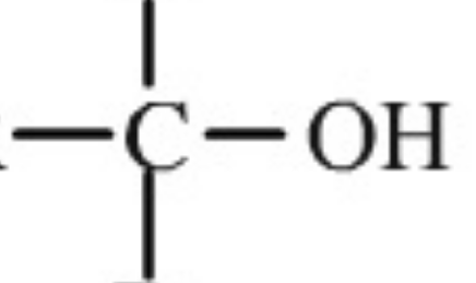 <p>Name the functional group</p>