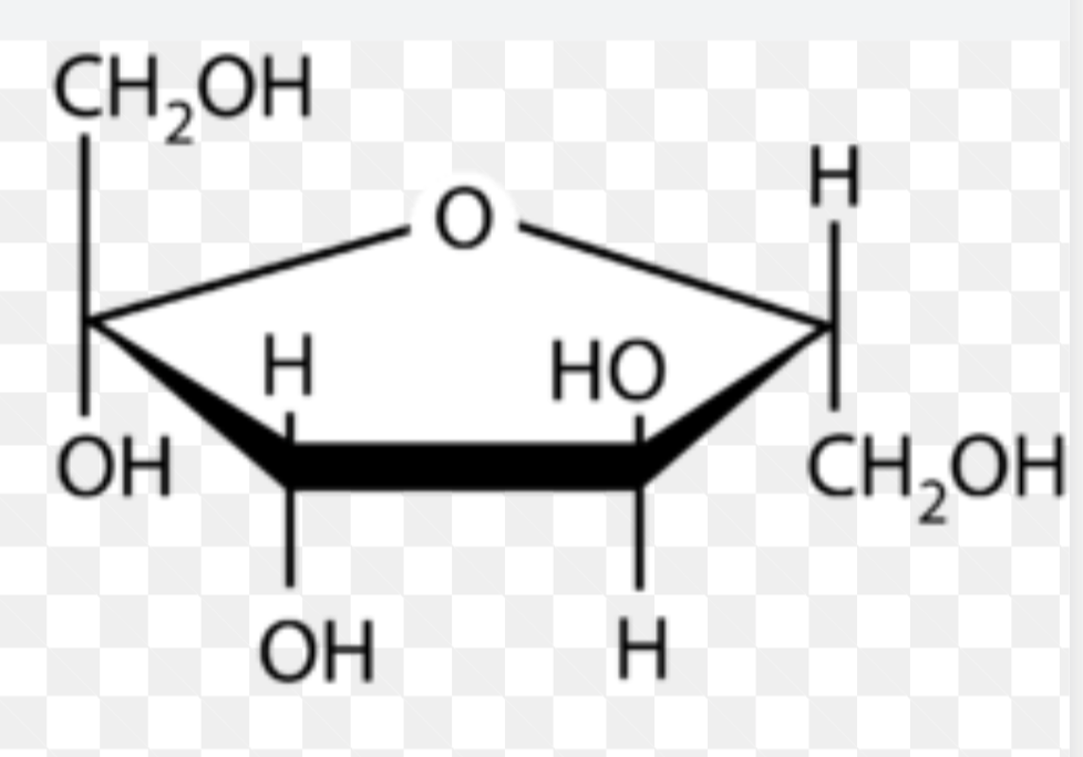 <p>what is this cyclic structures name? </p>