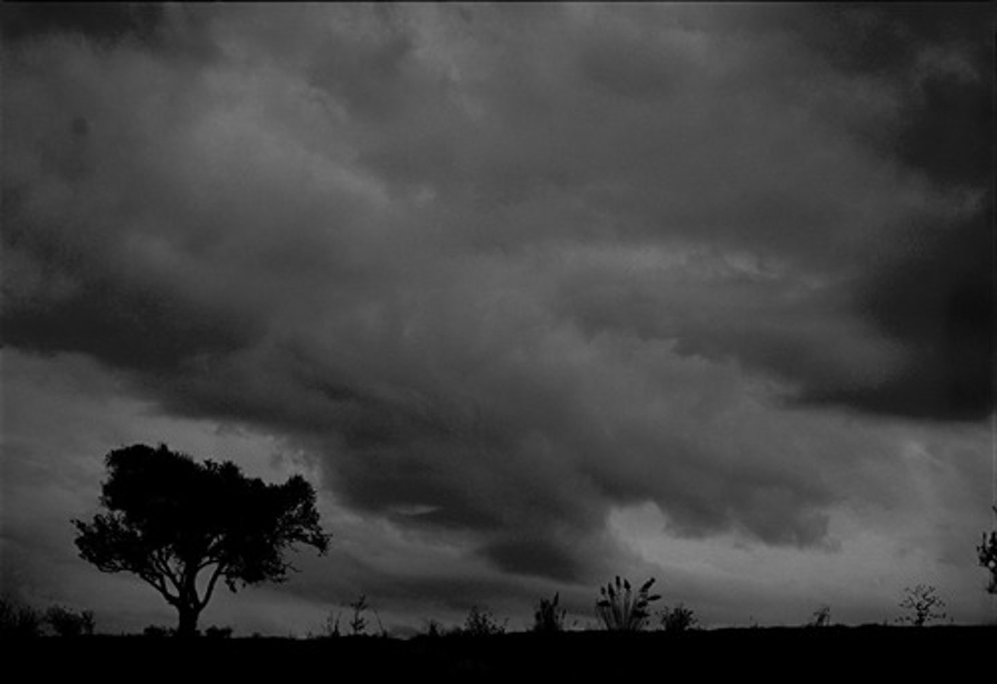 <p>It's cloudy</p>