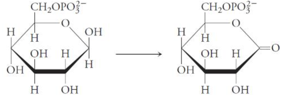 <p>The reactant is being oxidized.</p>