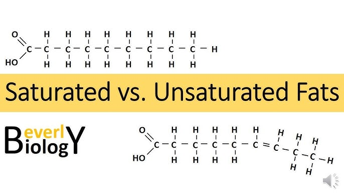 <p>healthy dietary fats characterized by having one or more double bonds in their fatty acid chains, making them liquid at room temperature </p><ul><li><p>ex: olive oil </p></li></ul><p></p>