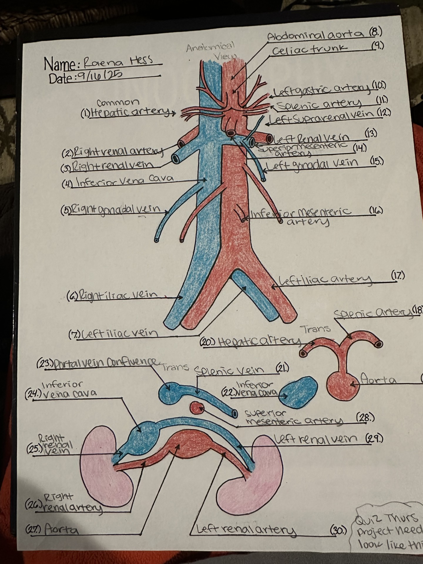 knowt flashcard image