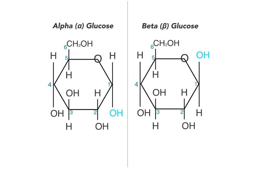 <p>Beta BEATS Alpha</p><p>-in beta glucose the hydroxyl, OH, group is <strong>above </strong>the plane</p><p>-in alpha glucose the hydroxyl, OH, group is <strong>below </strong>the plane</p>