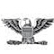 <p>Eagle</p>