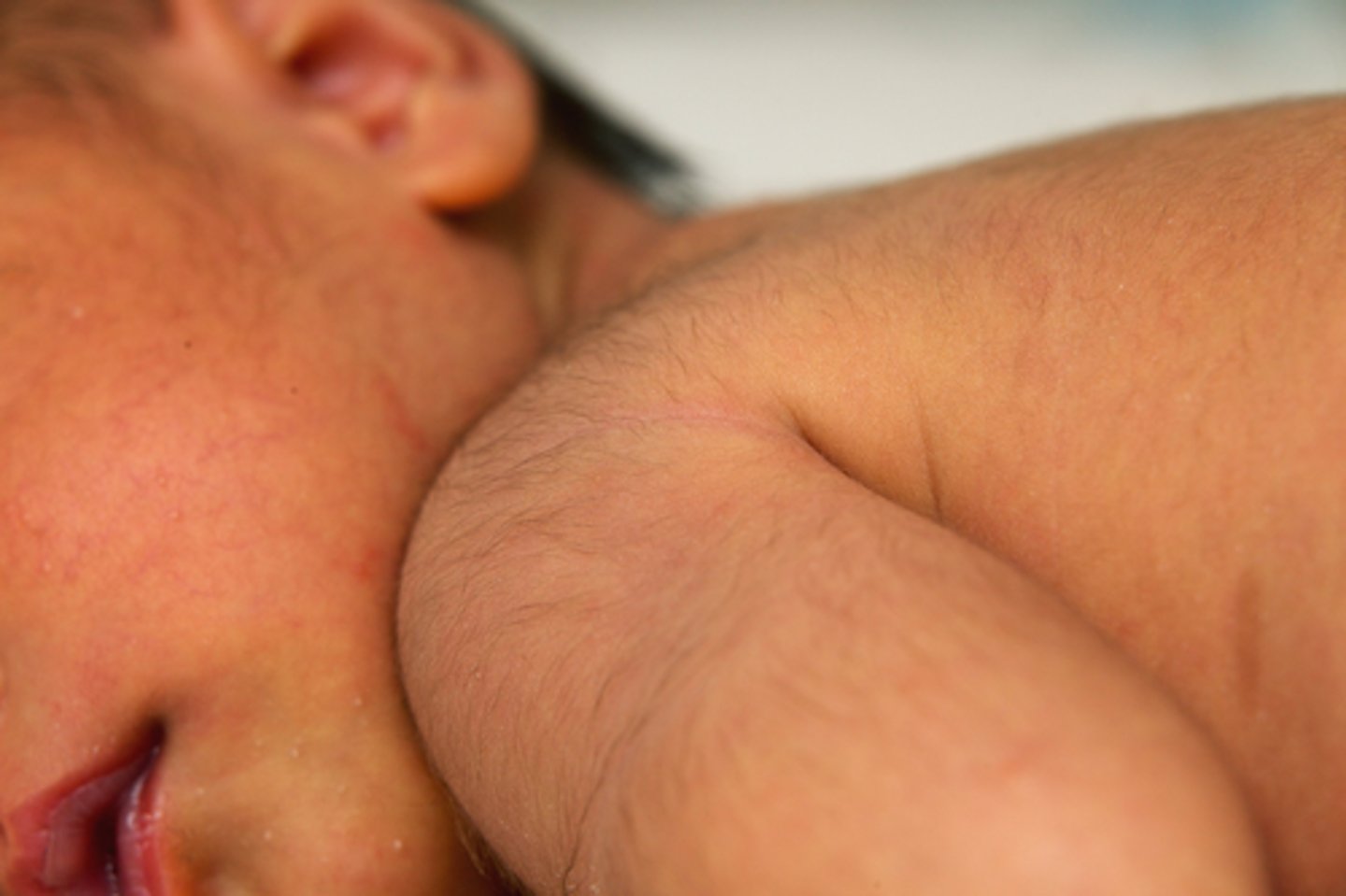 <p>this picture indicates:</p>