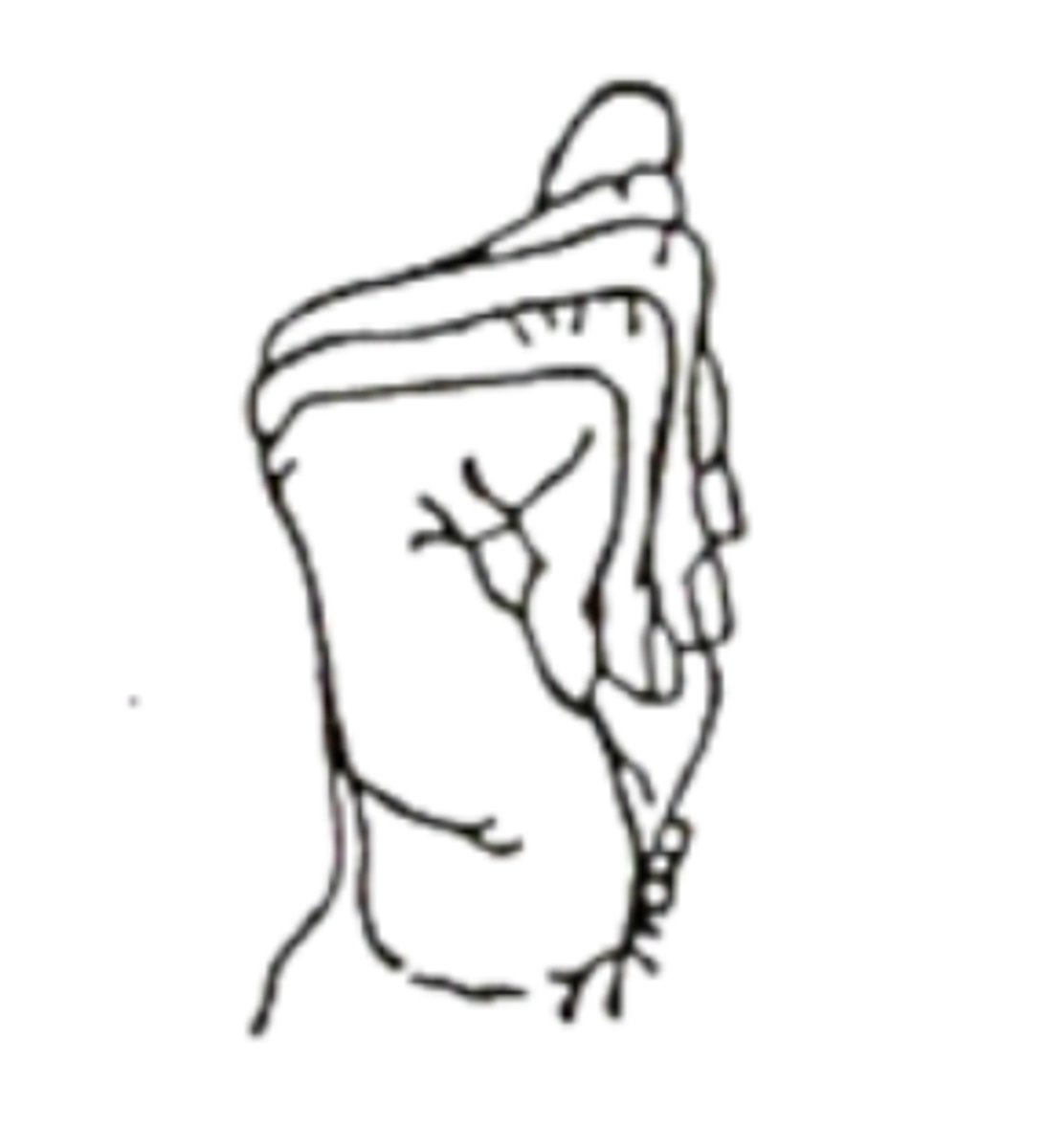 <p>DIPs are extended, PIP and MCP are flexed</p>