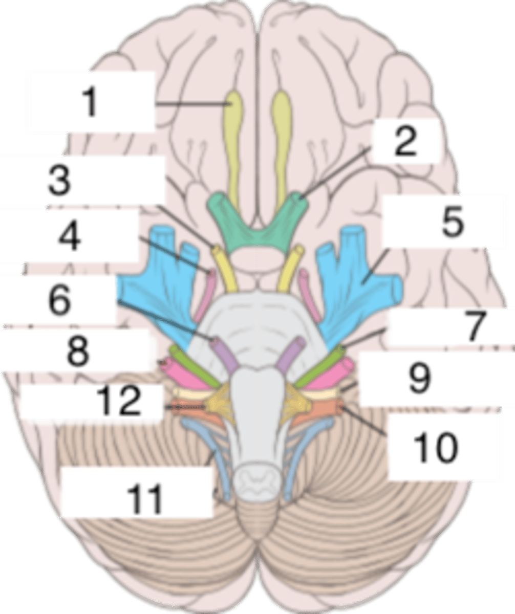 <p>8</p>