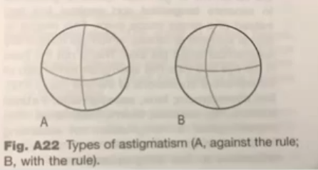 <p>with and against rule&nbsp;</p>
