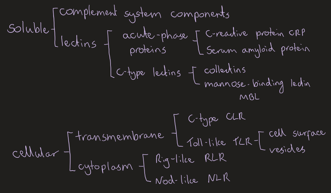 <p>Soluble- extracellular, bind and tag</p><p>Cellular- intracellular, trigger immune response </p>