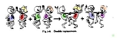 <ul><li><p><span>A chemical reaction with a chemical change involving an exchange of positive ions between two compounds&nbsp;</span></p></li><li><p><span>Generally take place in aqueous solutions</span></p></li><li><p><span>This can only occur if one of the product is only slightly soluble and forms a ppt, one product is a gas, or one product is a molecular compound.&nbsp;</span></p></li><li><p><span>Double-replacement reactions have the above products and switching of two cations.&nbsp;</span></p></li><li><p><span>AB + XY 🡪 XB + AY</span></p></li></ul><p><span>Example:&nbsp; Na<sub>2</sub>S(aq) + Cd(NO<sub>3</sub>)<sub>2</sub> (aq) 🡪 CdS (s) + 2NaNO<sub>3</sub></span></p>