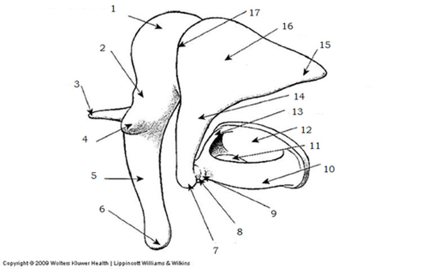 <p>able to speak clearly and expressively</p>