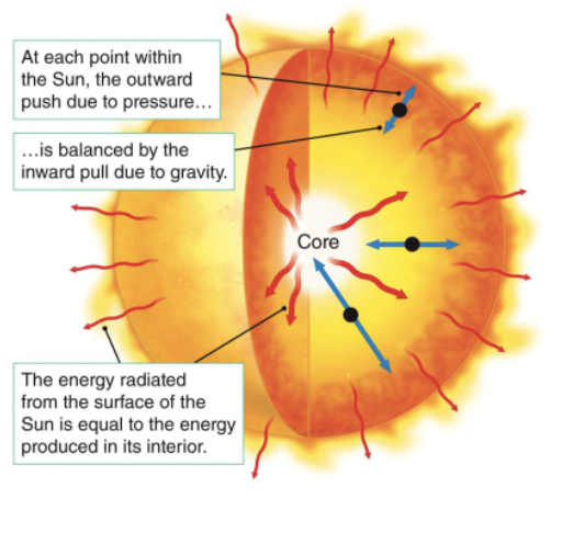 <p><strong><u>Hydrostatic equilibrium</u></strong><u>: </u>balance between pressure &amp; gravity. <strong>Gravity pushes INWARD</strong> to the center of the sun, but n<strong>uclear reactions &amp; thermal pressure push OUTWARD</strong>. This keeps the sun stable. </p><p><strong>If gravity won,</strong> the Sun would get smaller and the pressure of nuclear reactions at its core would increase, making it get bigger again. </p><p>I<strong>f pressure won</strong>, the sun would expand, then the nuclear reactions would drop causing the pressure to drop, and the sun would contract again.</p>