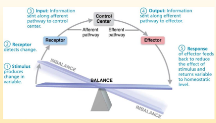 <p>Control Center</p>