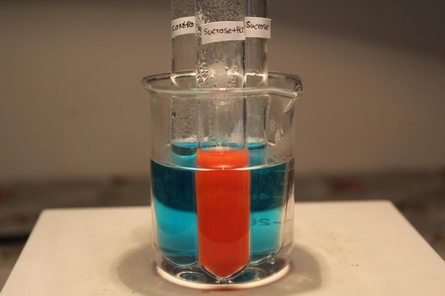 <p>What chemical test is showing in the image above?</p>