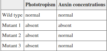 <p><span>A biologist investigating the response of a particular plant species to light cues stumbles upon three mutant plant lines. Each displays a lack of normal phototropic behavior but varies in the auxin concentrations present in their growing tips. Based on the information given in the table, what could explain the behaviors of the three mutants?</span><br><br><span>1. Mutant 1 is deficient in an enzyme involved in auxin biosynthesis, whereas mutants 2 and 3 may have defective expansin and/or proton pump proteins.</span><br><span>2. Mutant 1 produces a defective proton pump protein, whereas mutants 2 and 3 are both deficient in an enzyme involved in auxin biosynthesis.</span><br><span>3. Mutant 1 is deficient in an enzyme involved in auxin biosynthesis, whereas turgor pressure changes by osmosis may be absent in mutants 2 and 3.</span><br><span>4. Mutant 1 produces a defective expansin enzyme, whereas mutants 2 and 3 may have defective proton pump proteins.</span></p>