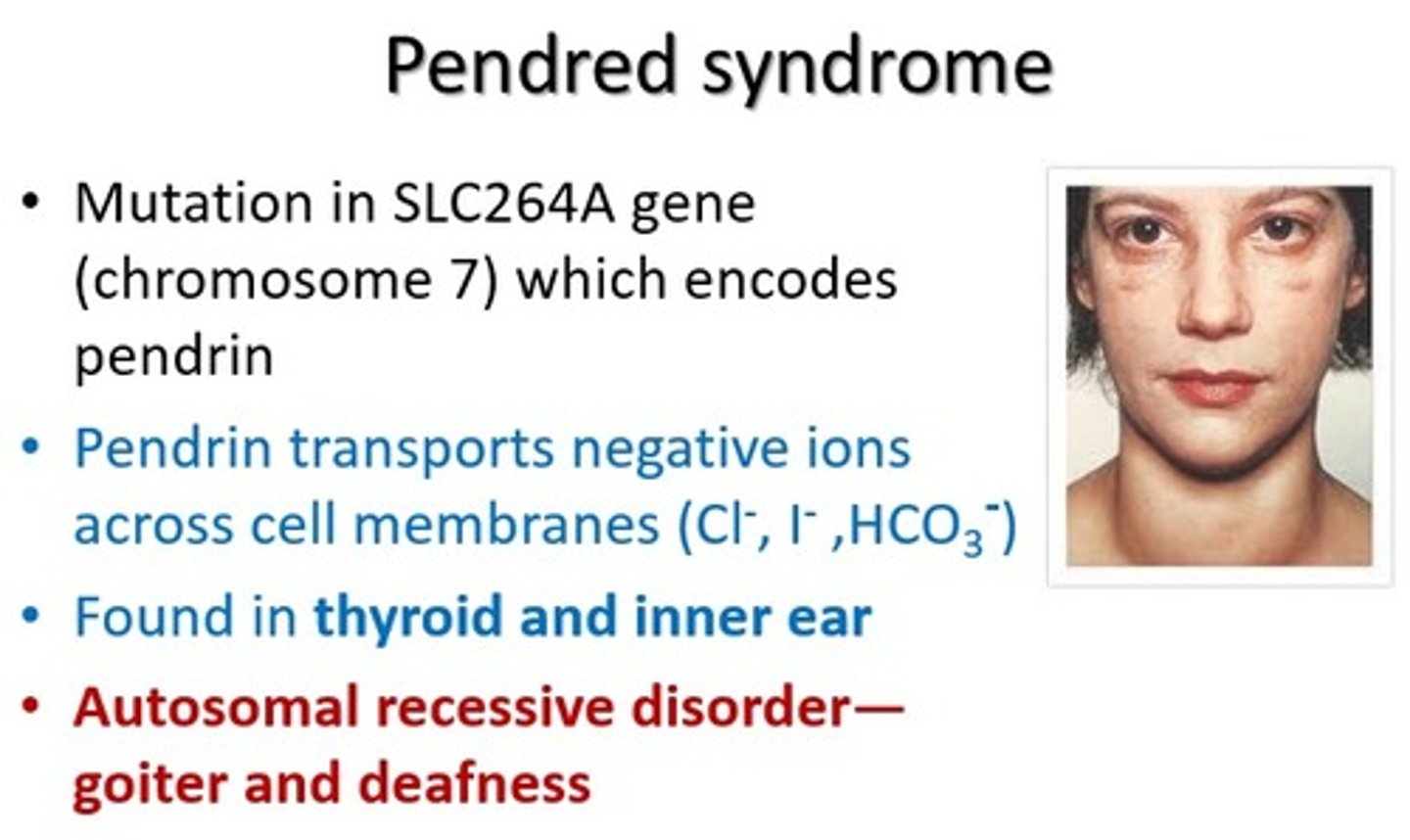 <p>Genetic disorder leading to congenital bilateral SNHL and goiter with euthyroid or mild hypothyroidism. (also known as Goiter-deafness syndrome)</p>