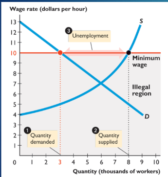 <p>places lower limit on price; above equilibrium and causes a surplus</p>