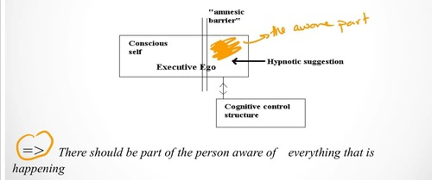 <p>Hypnosis dissociates (or isolates) the Executive Ego, so that part of it is under direct control of hypnotic instructions</p>