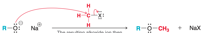 <p>Name the nucleophile in the image</p>