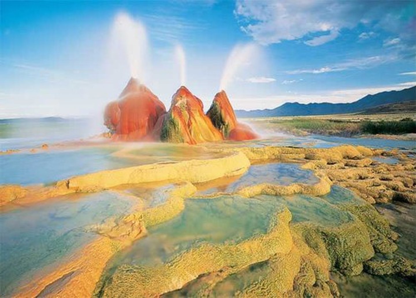<p>"salt-loving" archaea that live in environments that have very high salt concentrations</p>