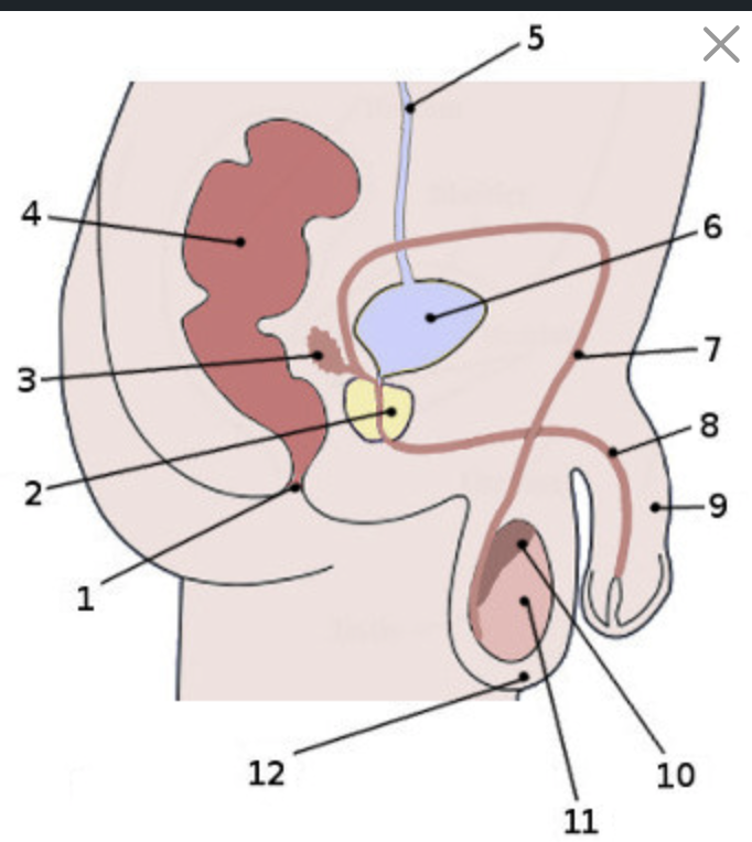 <p>What is #7?</p>